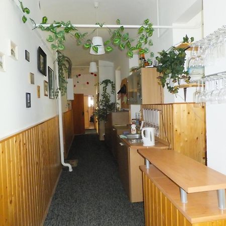Ubytovani U Kovare Ústí nad Labem Buitenkant foto